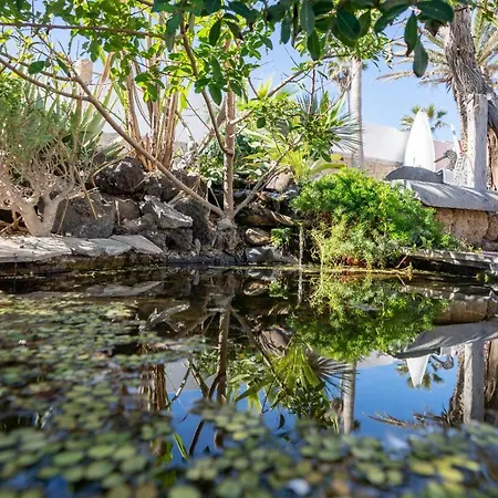 Little Paradise In El Medano Lejlighed