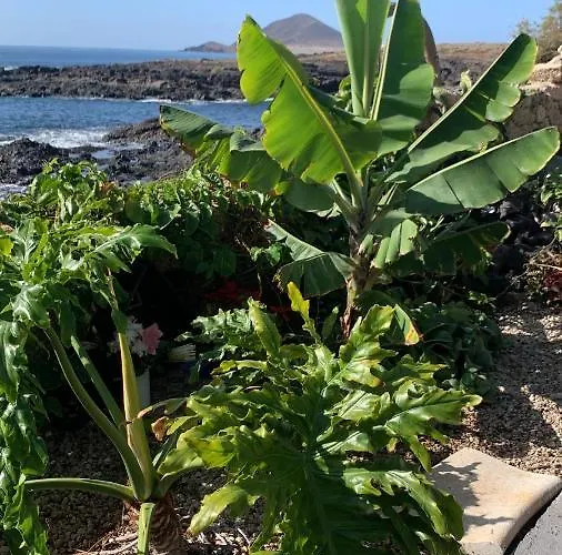 Little Paradise In El Medano * Granadilla De Abona