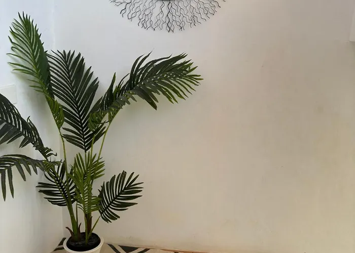 Little Paradise In El Medano Appartement