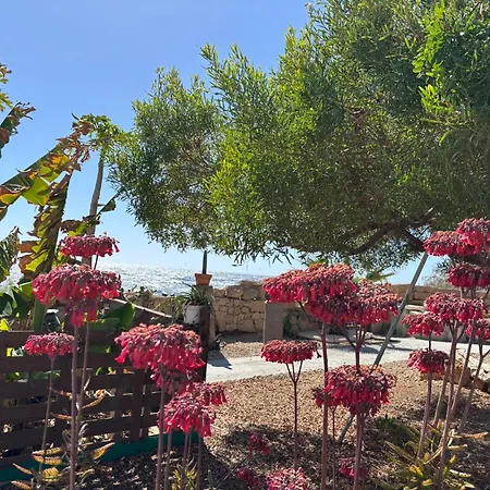 Διαμέρισμα Little Paradise In El Medano Granadilla De Abona