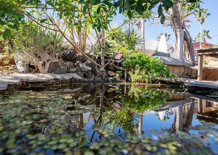 Little Paradise In El Medano Апартаменты