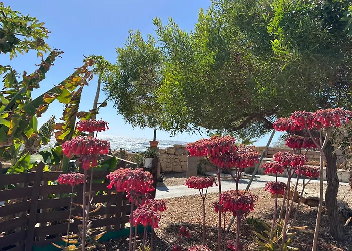 아파트 Little Paradise In El Medano 그라나딜라데아보나