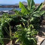 Little Paradise In El Medano * Granadilla De Abona