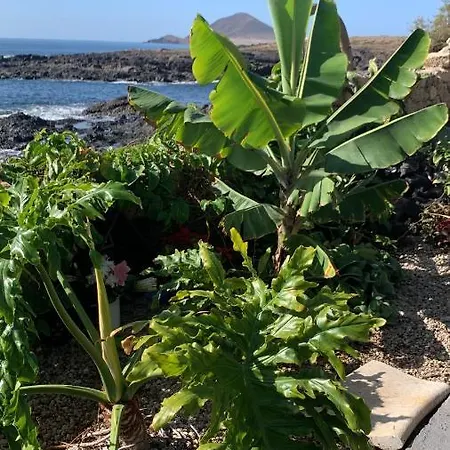 Little Paradise In El Medano * 格拉纳迪利亚-德阿沃纳